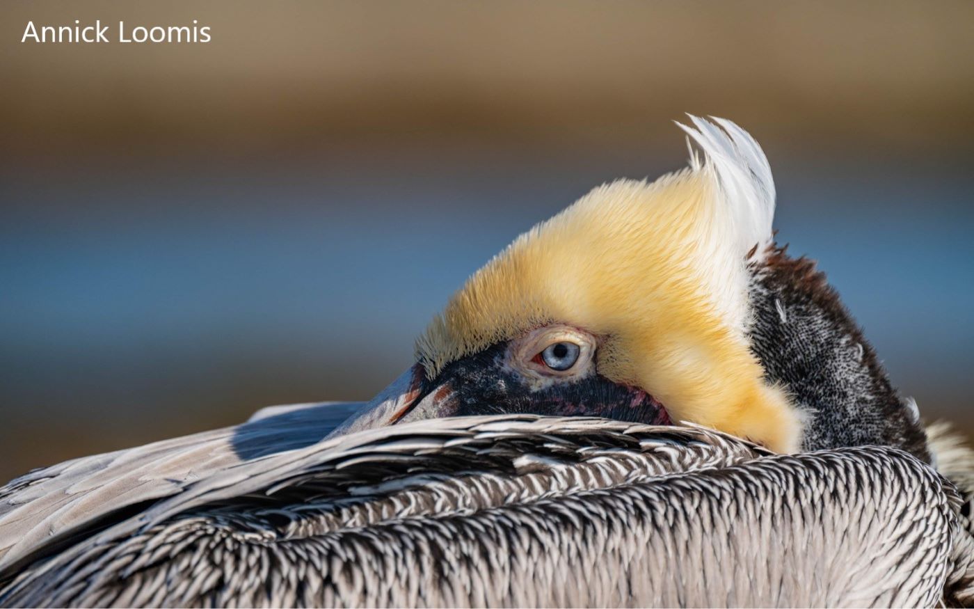 Enter the 26th annual Photography Contest